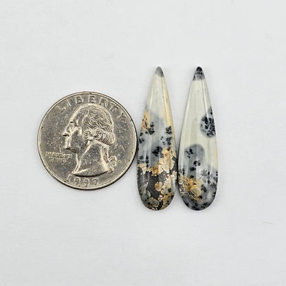 Maligano Jasper cabochon pair