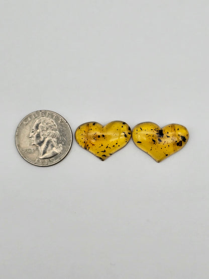 Amber authentic heart cabochon pair large