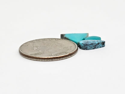 Mexican Turquoise Lot | Artisan Cut Gemstone