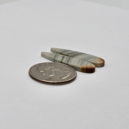 Saturn Jasper cabochon pair