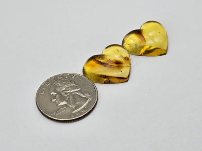 Amber authentic heart cabochon pair large