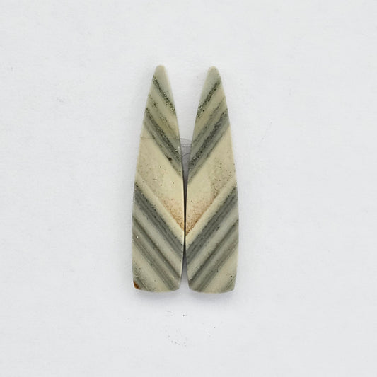 Saturn Jasper cabochon pair