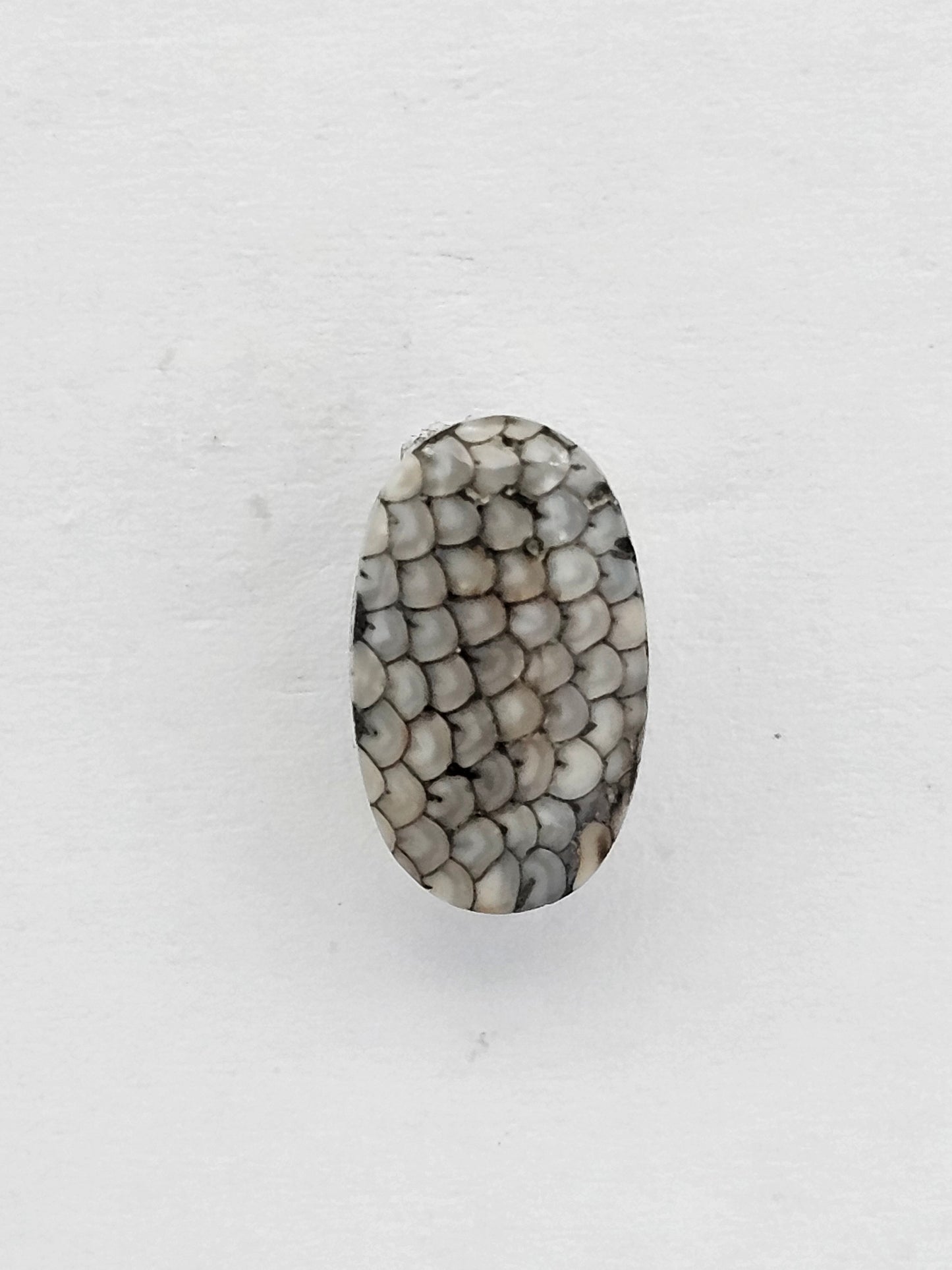 Snake skin agate cabochon
