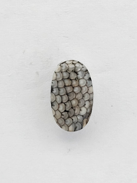 Snake skin agate cabochon