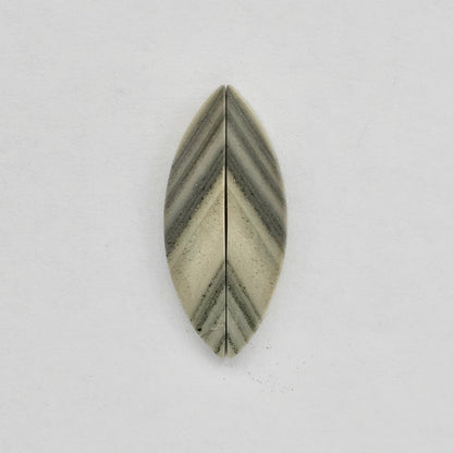 Saturn Jasper cabochon pair