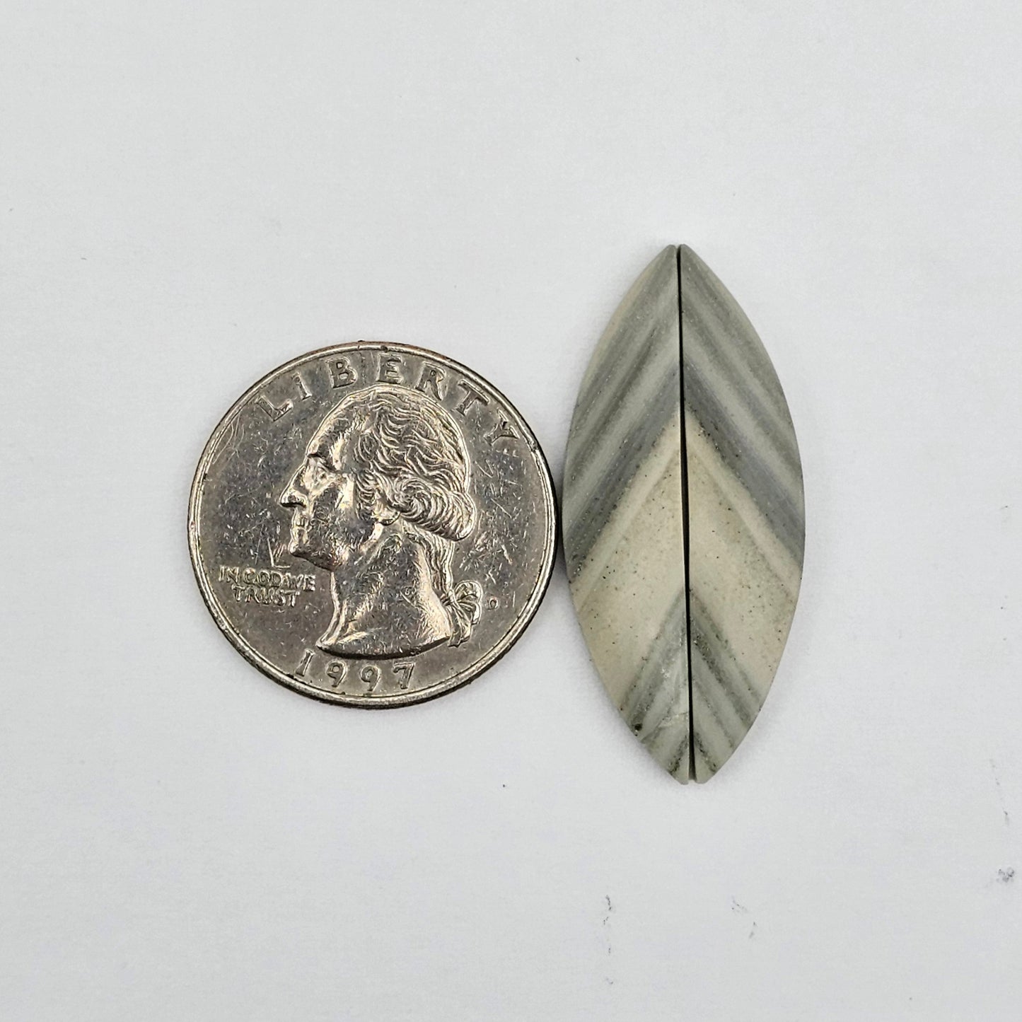 Saturn Jasper cabochon pair