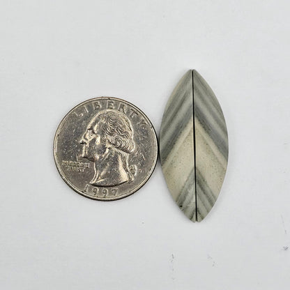 Saturn Jasper cabochon pair