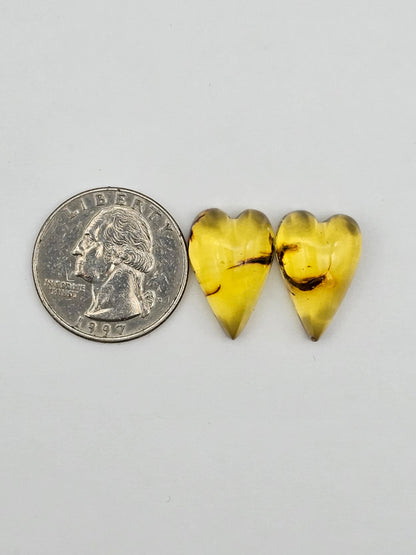 Amber authentic heart cabochon pair large