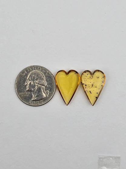 Amber authentic heart cabochon pair large