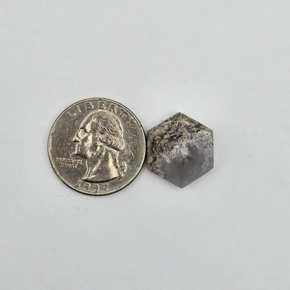 Moss agate high hexagon cabochon