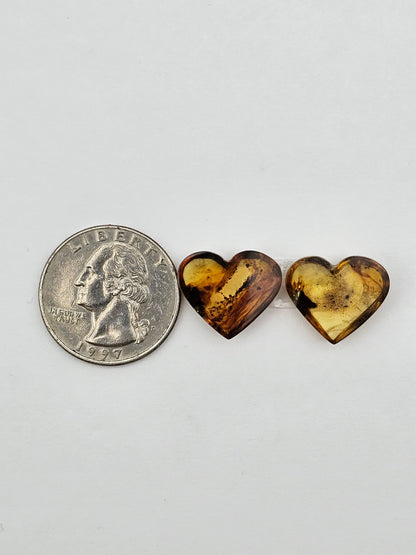 Amber authentic heart cabochon pair large