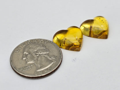 Amber authentic heart cabochon pair large