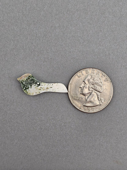 River jasper bird cabochon