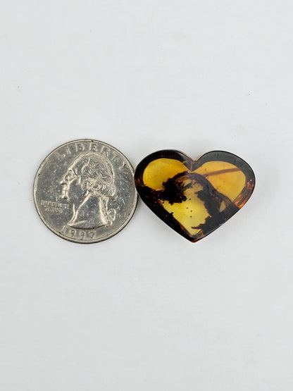 Amber authentic heart cabochon large
