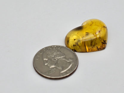 Amber authentic heart cabochon large