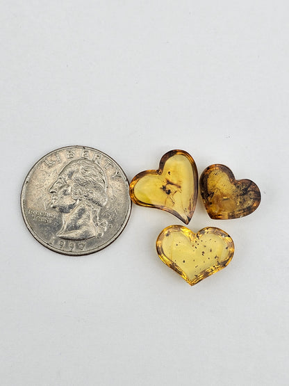 Amber authentic heart cabochon set large