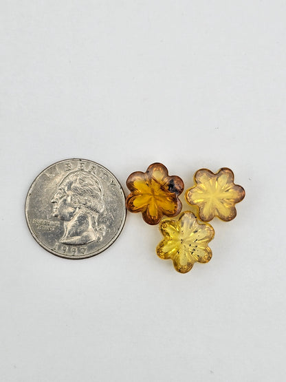 Amber authentic flower cabochon set large