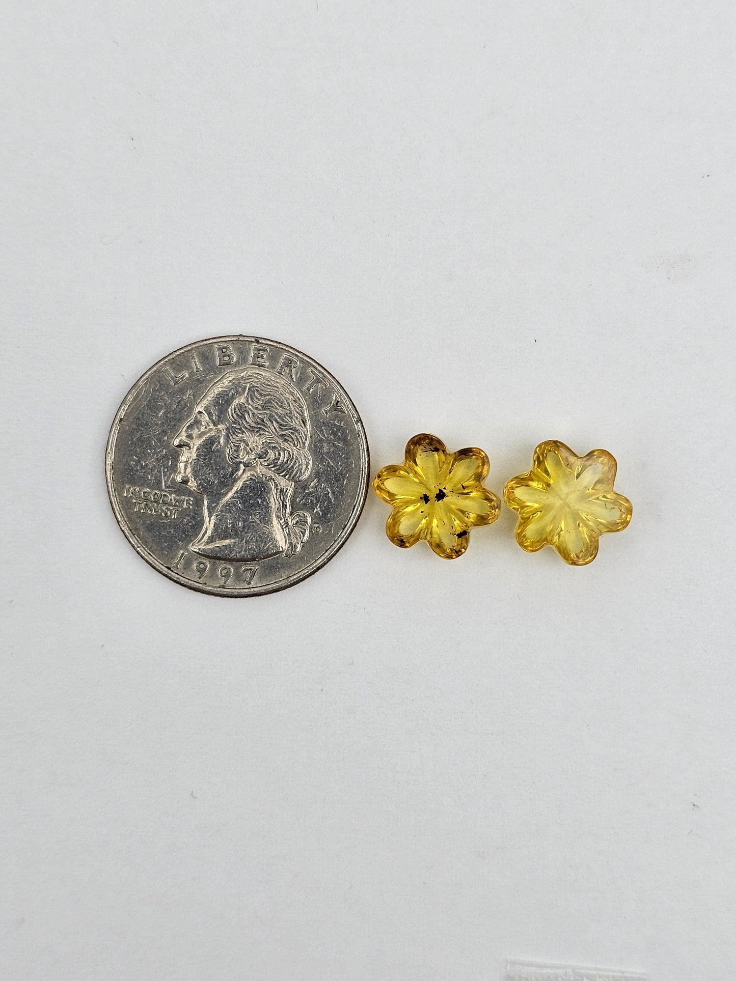 Amber authentic flower cabochon pair large