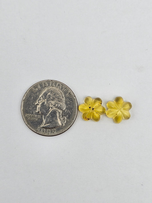 Amber authentic flower cabochon pair large