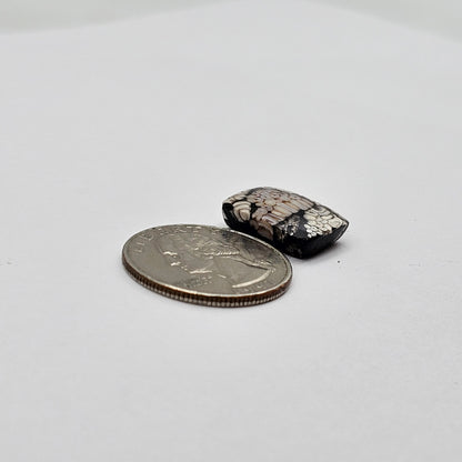 Snake skin agate cabochon large