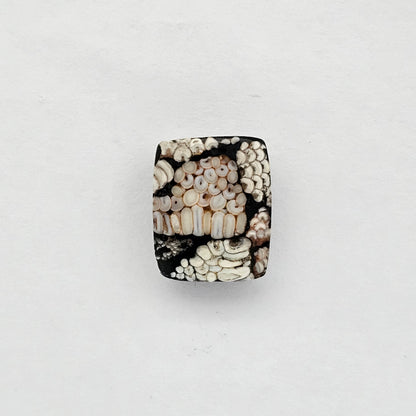 Snake skin agate cabochon large