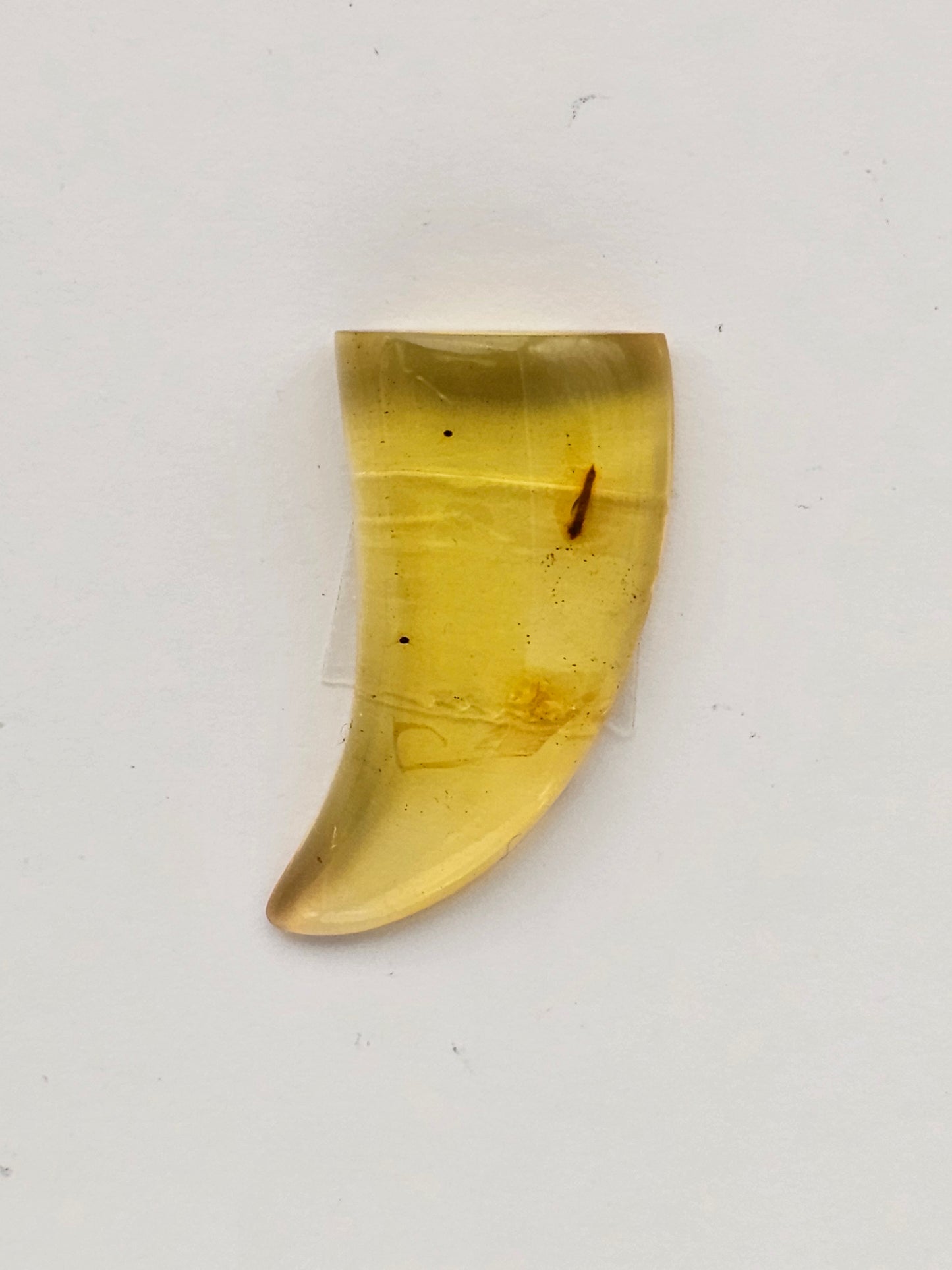 Amber authentic cabochon large