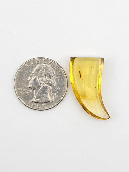 Amber authentic cabochon large