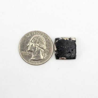 Snake skin agate cabochon