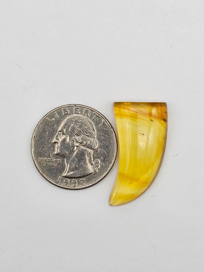 Amber authentic cabochon large
