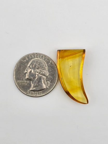 Amber authentic cabochon large