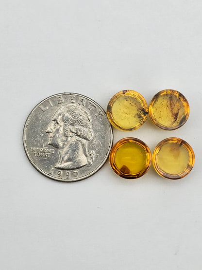 Amber authentic cabochon pair lot