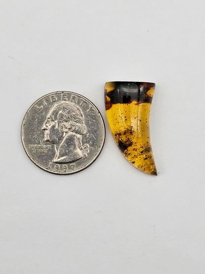 Amber authentic cabochon large
