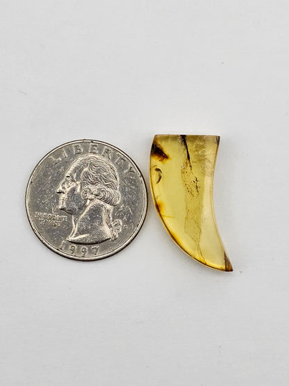 Amber authentic cabochon large