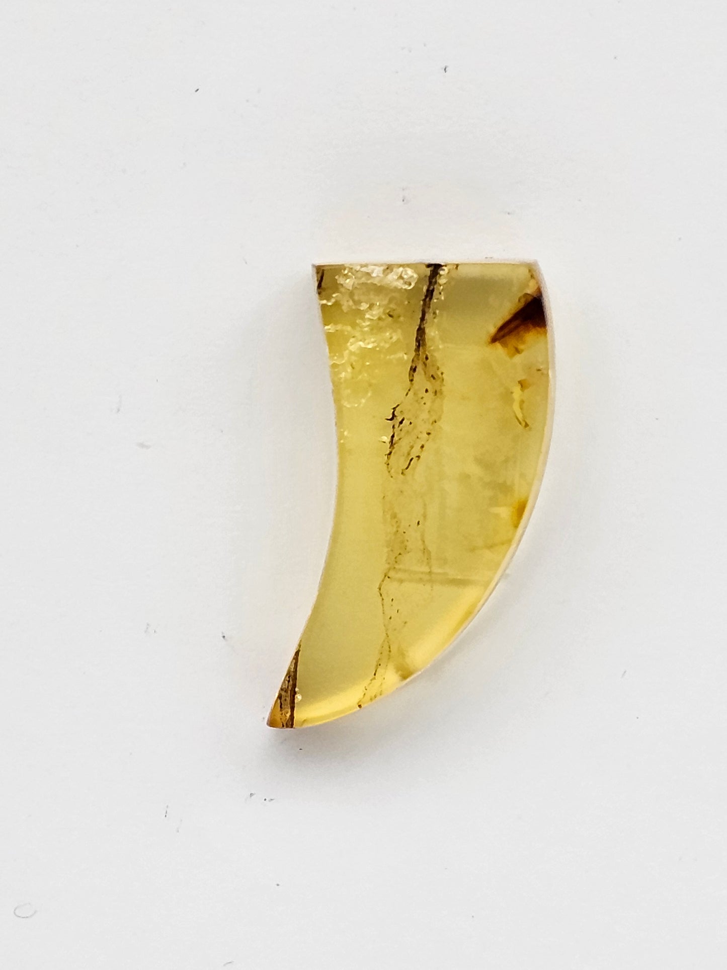 Amber authentic cabochon large