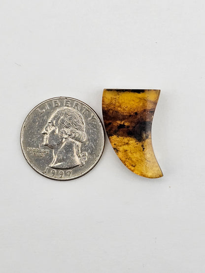 Amber authentic cabochon large