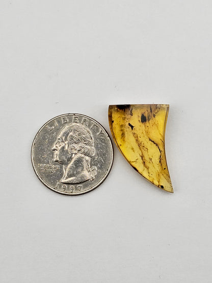 Amber authentic cabochon large