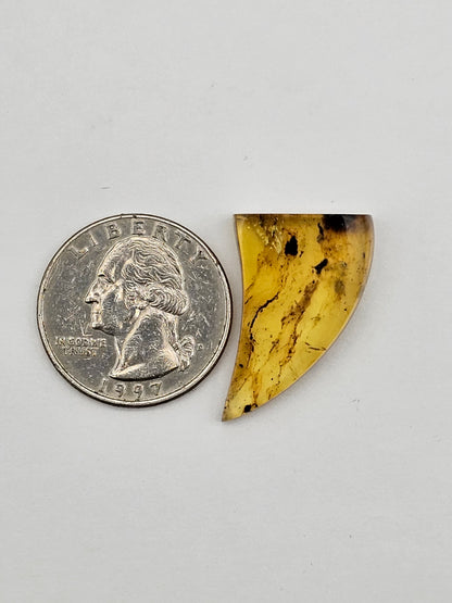 Amber authentic cabochon large