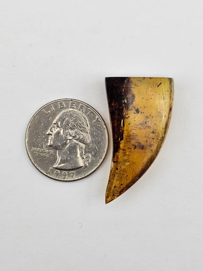 Amber authentic cabochon large