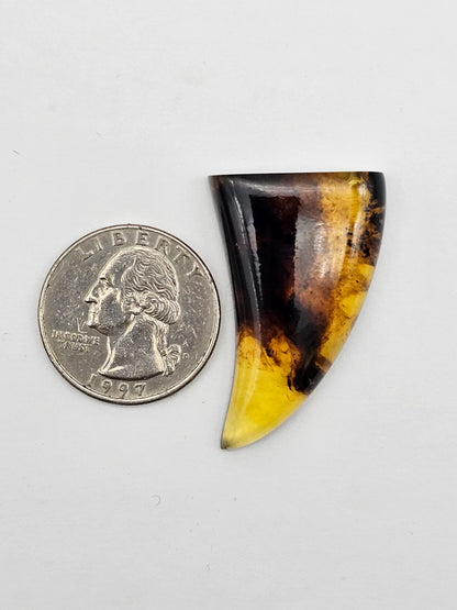 Amber authentic cabochon large