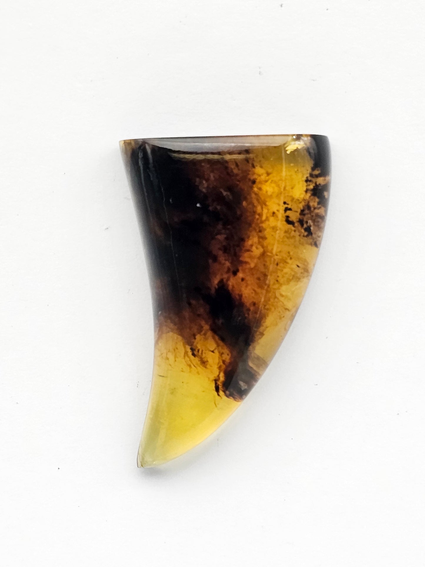 Amber authentic cabochon large