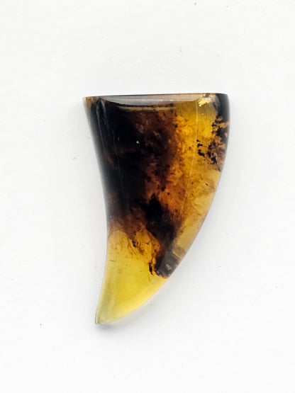 Amber authentic cabochon large
