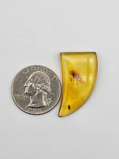 Amber authentic cabochon large