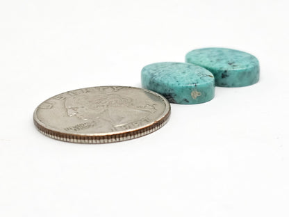 Mexican Turquoise Pair | Artisan Cut Gemstone