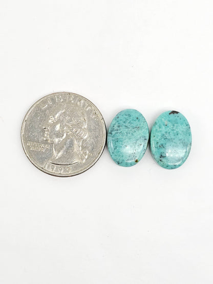 Mexican Turquoise Pair | Artisan Cut Gemstone