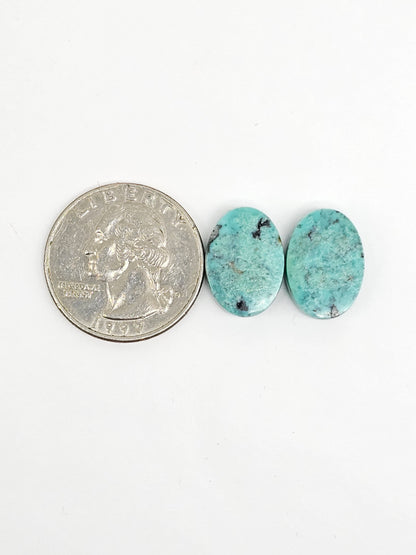 Mexican Turquoise Pair | Artisan Cut Gemstone