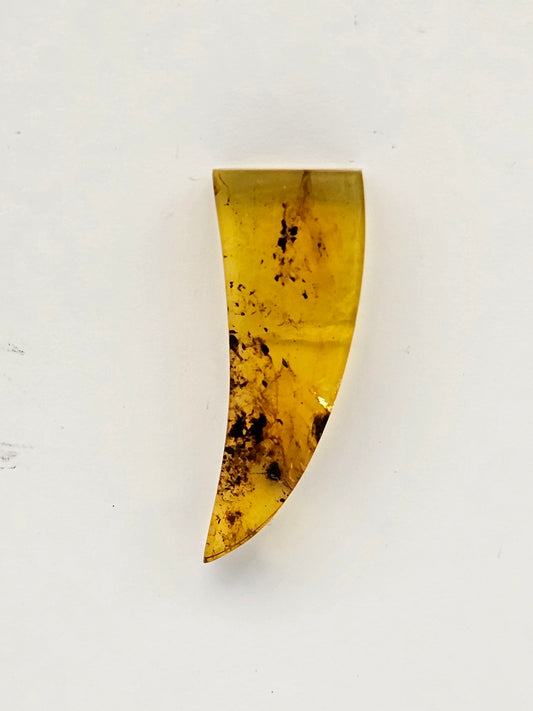 Amber authentic cabochon large