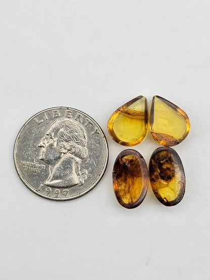 Amber authentic cabochon pair lot
