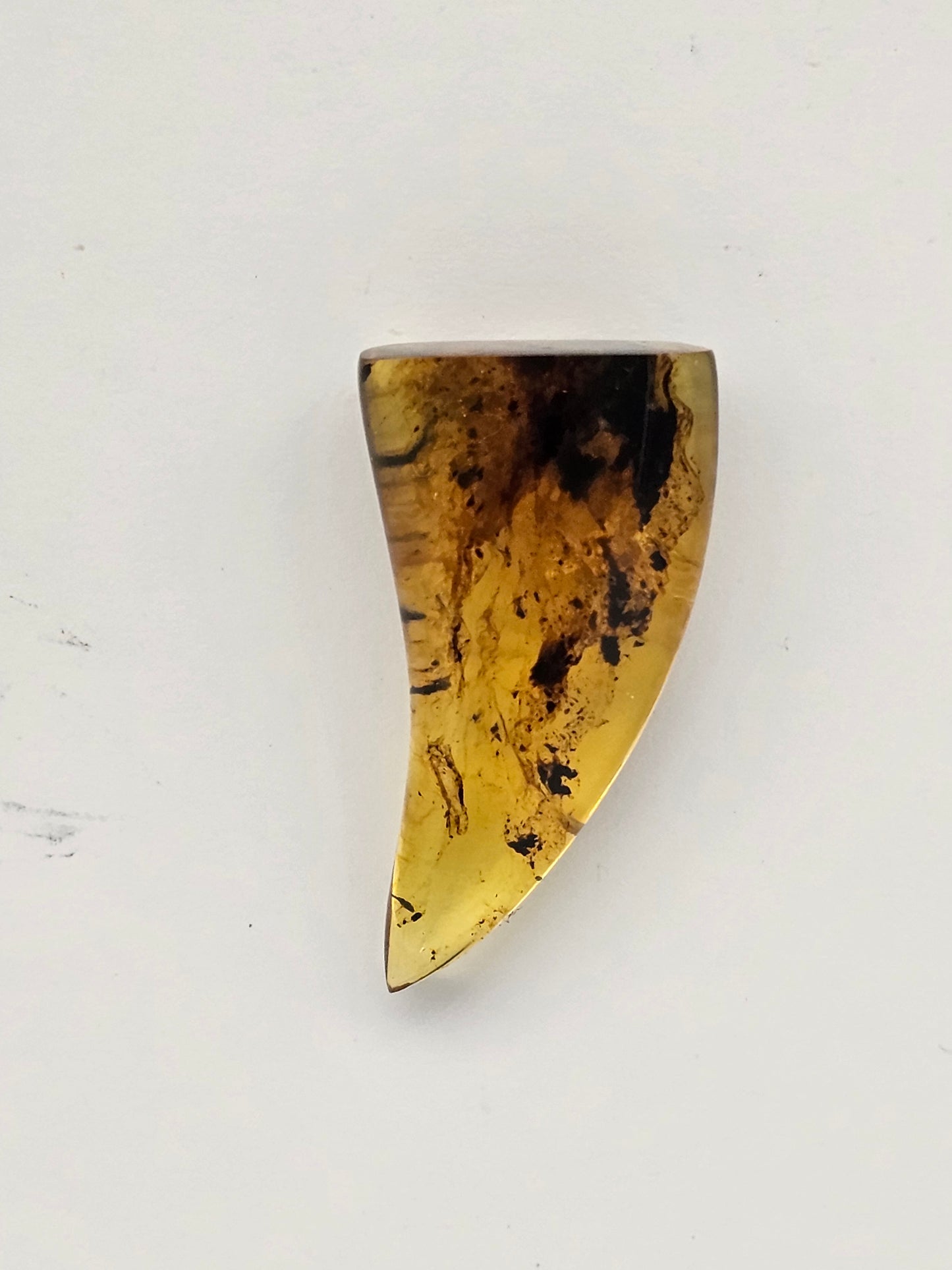 Amber authentic cabochon large