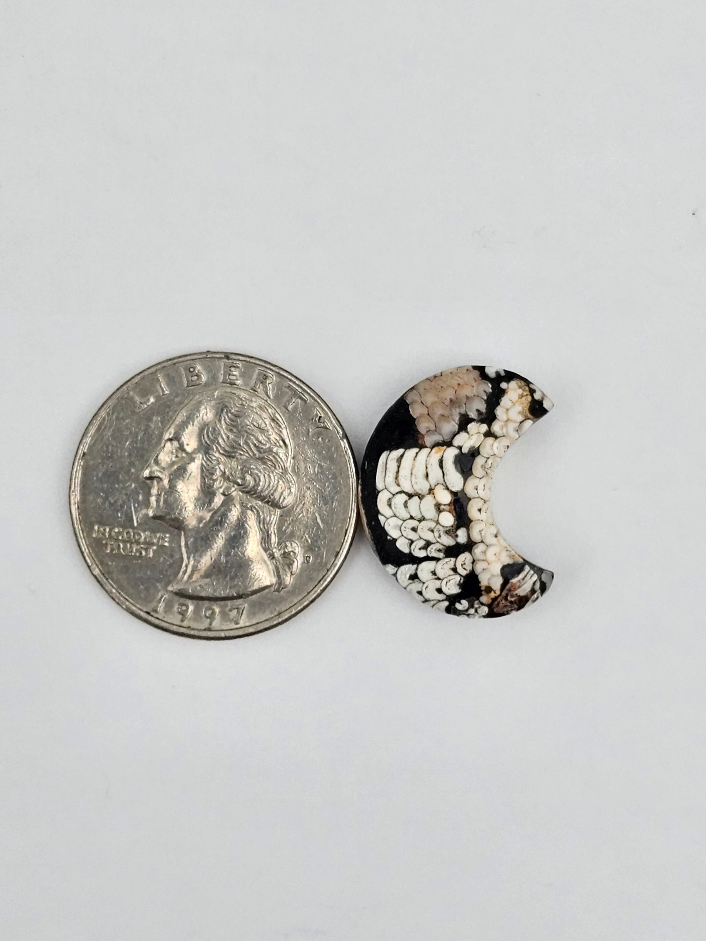 Snake skin agate moon cabochon