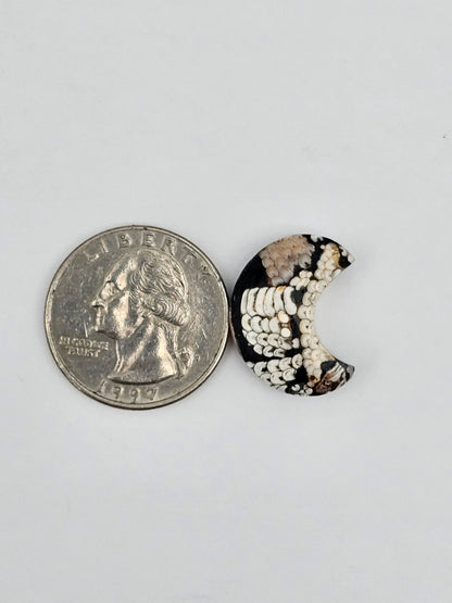 Snake skin agate moon cabochon